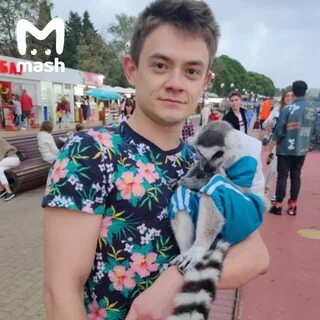 Сын зам