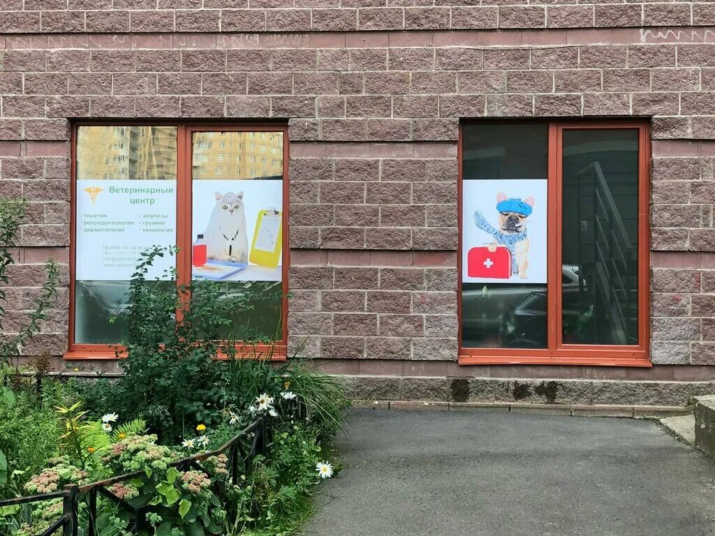 ветеринарный центр санкт петербург улица. прайд на минеральной 32. коллонтай 41 ветклиника. прайд ветеринарная клиника уточкина. ветеринарная клиника на коллонтай.
