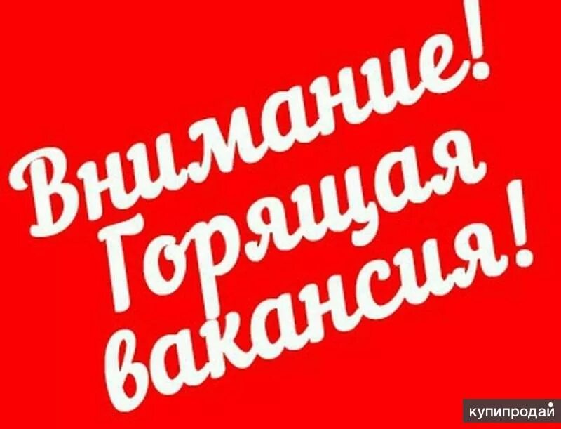 Работа срочно для женщины без опыта работы. Срочно требуется. требуется сотрудник. срочно вакансия. срочно требуется на работу.