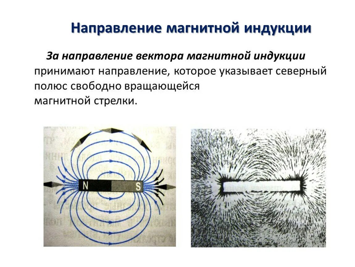 Направление индукции магнитного поля. Направление вектора магнитного поля. За направление вектора магнитной индукции. Вектор магнитной индукции в магните направлен. За направление магнитной стрелки принято