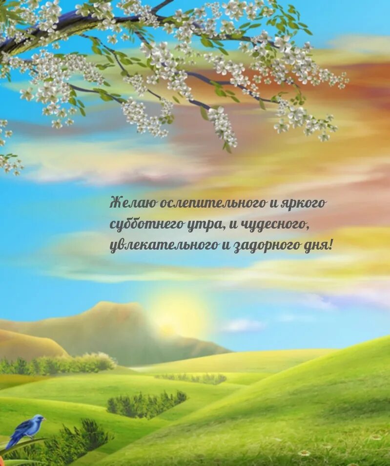 Pin by Светлана on Доброе утро Greetings for the day, Good morning roses, Birthd