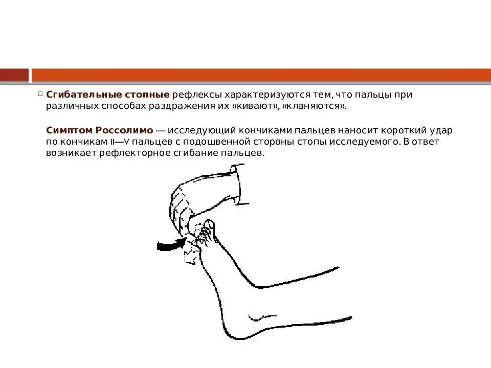 Сгибательный рефлекс физиология. Сгибательный рефлекс предплечья физиология. Сгибательно локтевой рефлекс. Разгибательный локтевой рефлекс.