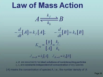 Action law