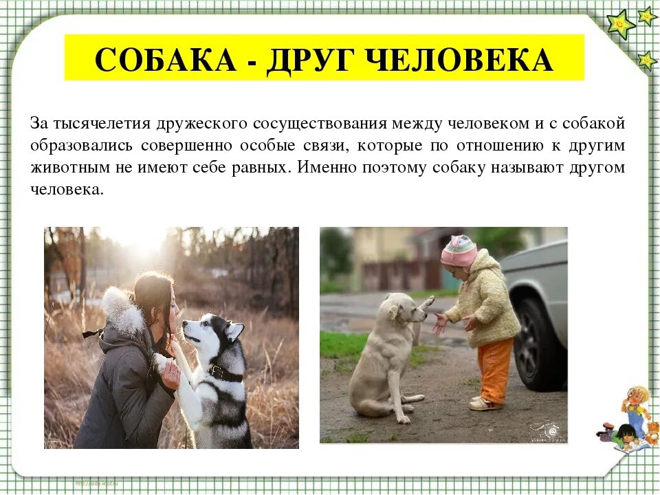 Собака вывела человека в люди. Собака друг человека. Рассказ собака друг человека. Человек собаке друг текст. Почему собака друг человека.