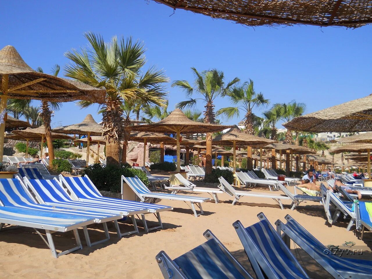 Sharm 5 отзывы. Sierra Resort Шарм-Эль-Шейх. Сиерра Резорт Шарм-Эль-Шейх пляж. Sierra Hotel 5 Шарм-Эль-Шейх. Сиерра отель Шарм-Эль-Шейх 5.