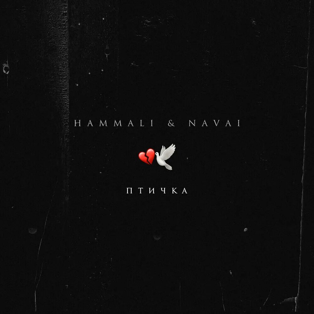 Птичка HAMMALI Navai. HAMMALI Navai птичка Lyrics. Птичка HAMMALI Navai обложка. Птичка HAMMALI Navai текст. Hammali navai птичка пародия