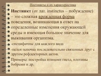 Инстинкт особенности
