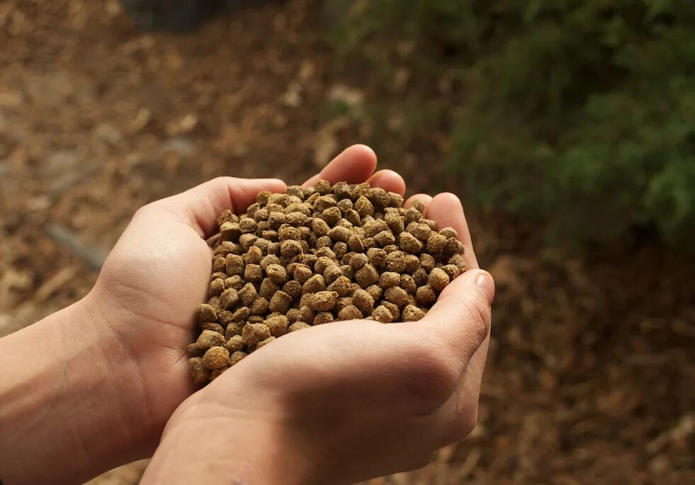 Feed. Fish feed. pakan. feed картинка. dog food pellet.