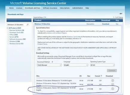 Flexnet licensing service что это