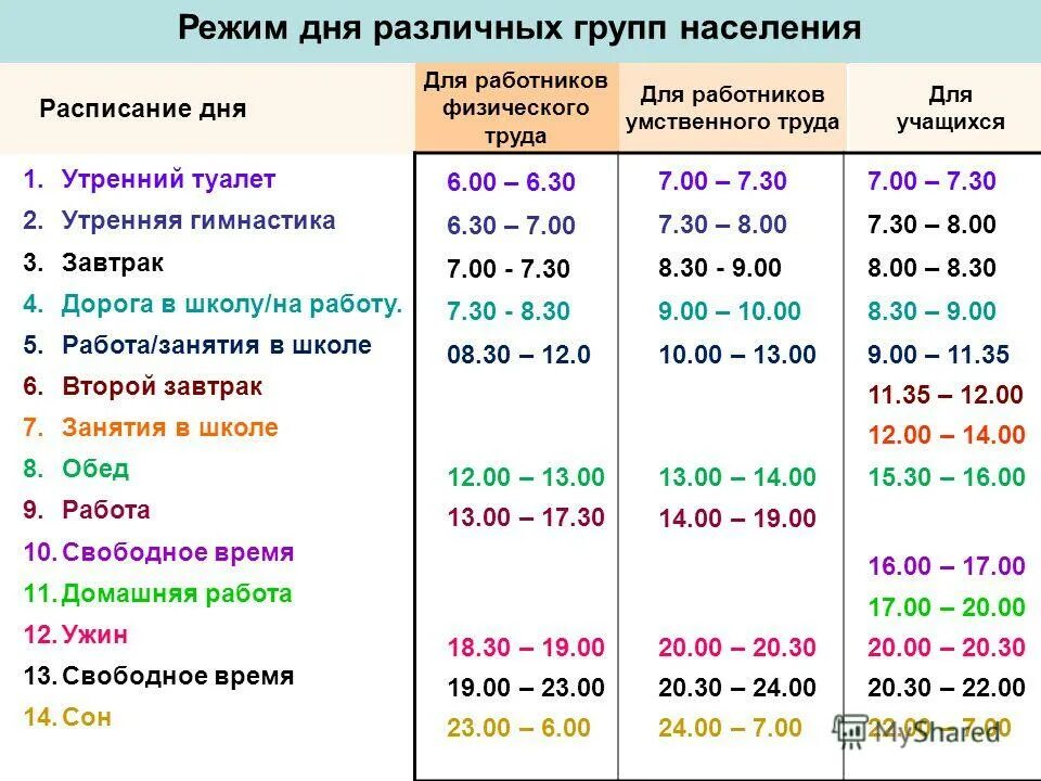 Распорядок дня в пансионате