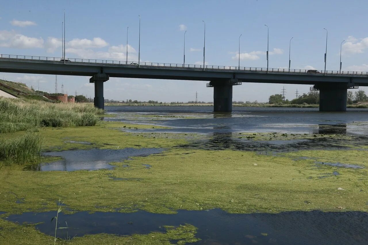 Тобол в реальном времени. Река Тобол Курган. Дамба Тобол Курган. Река Тобол обмелел. Река Тобол сплав.