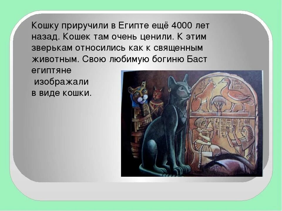 Yuusha party wo tsuihou sareta beast tamer, saikyoushu no nekomimi shoujo to deau аниме. Приручите приручить кошку девочку. Приручение кошки человеком. Изображение кошек в древнем египте. Девять жизней фильм 2016.