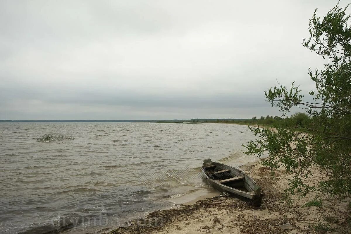 Озеро Зункарь Ставропольский. Озеро Зункарь база отдыха. Поселок Зункарь. Озеро Зункарь фото.