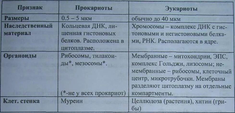 Есть ли у прокариотов. Органоиды прокариот и эукариот. Особенности прокариотической клетки и эукариотической. Органеллы прокариот и эукариот. Сравнение прокариотической и эукариотической клетки.