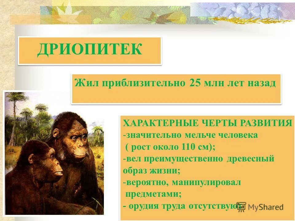 Схема происхождение человека основные этапы антропогенеза. Основные этапы развития человека. Эволюция человека фиопетек. Этапы развития человечества антропогенез. Этапы эволюции человека.