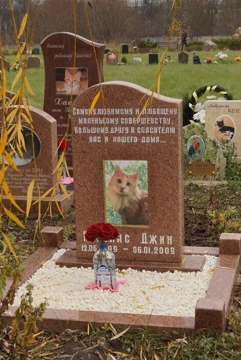 Где похоронен симба