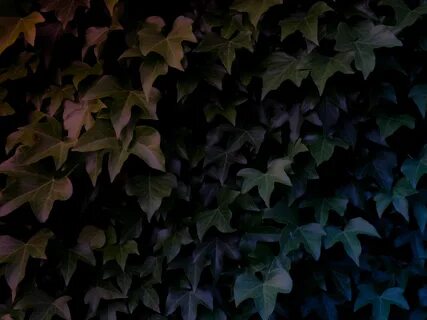 Leave the dark
