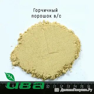 Порошок семян горчицы