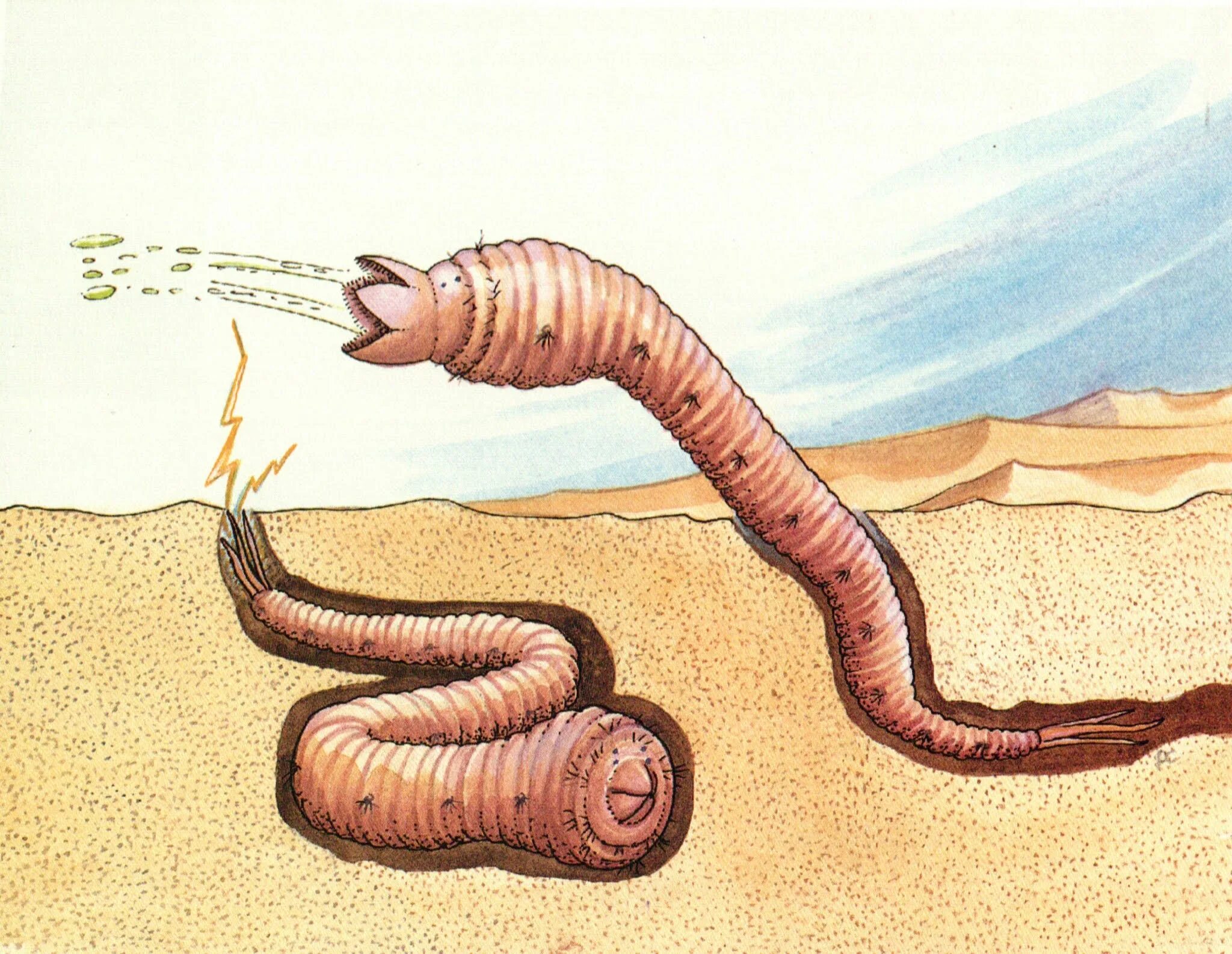 Чего боится мальчик толстого червяка. Пустыня Гоби олгой хорхой. Монгольский олгой хорхой. Монгольский червь смерти олгой-хорхой. Олгой-хорхой смертоносный червь Гоби.