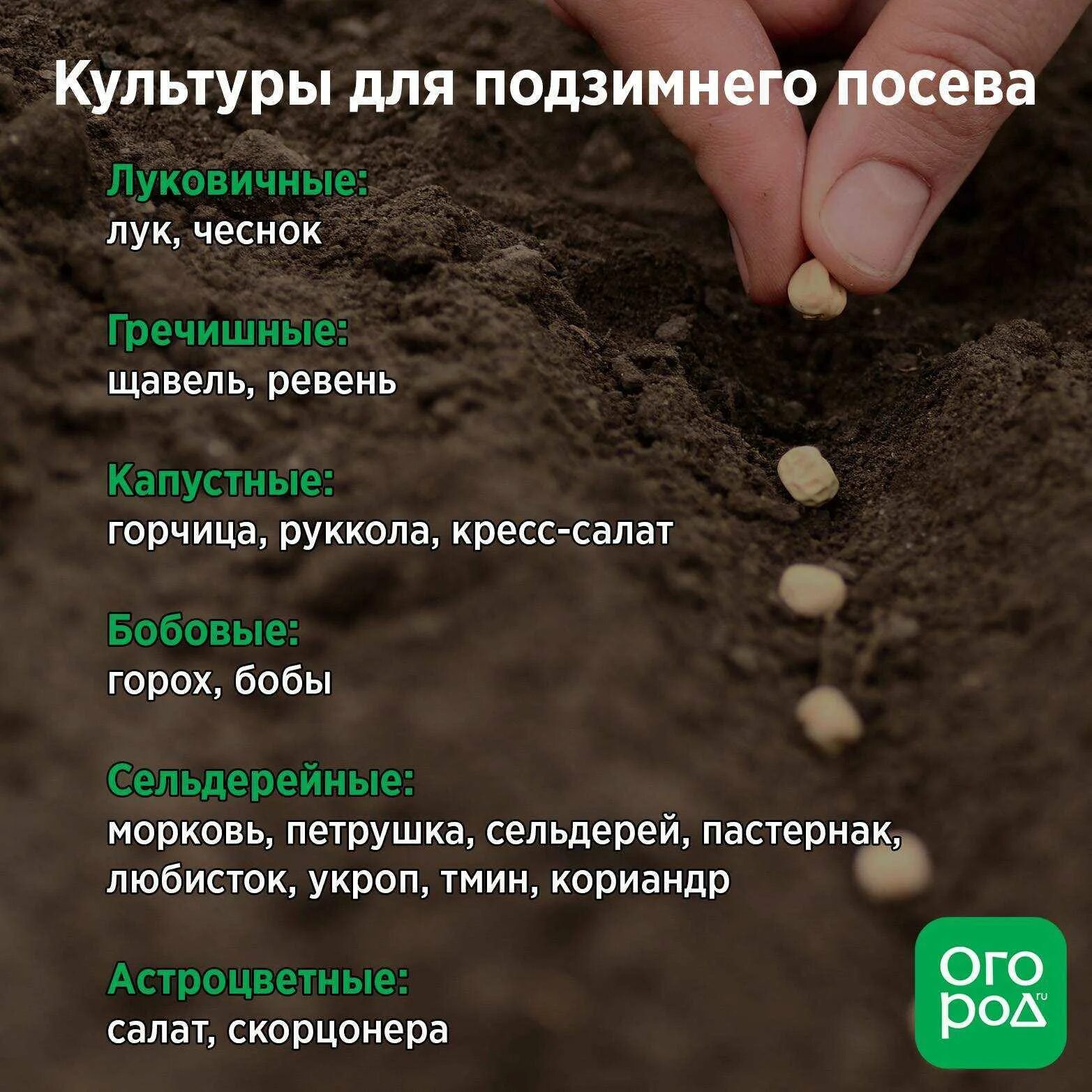 В какое место сажать