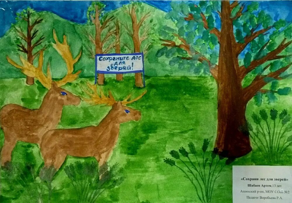 Рисунок на тему охрана животных. Рисунок на тему лес. конкурс рисунков про лес. рисунок лес 3 класс. сохраним лес.
