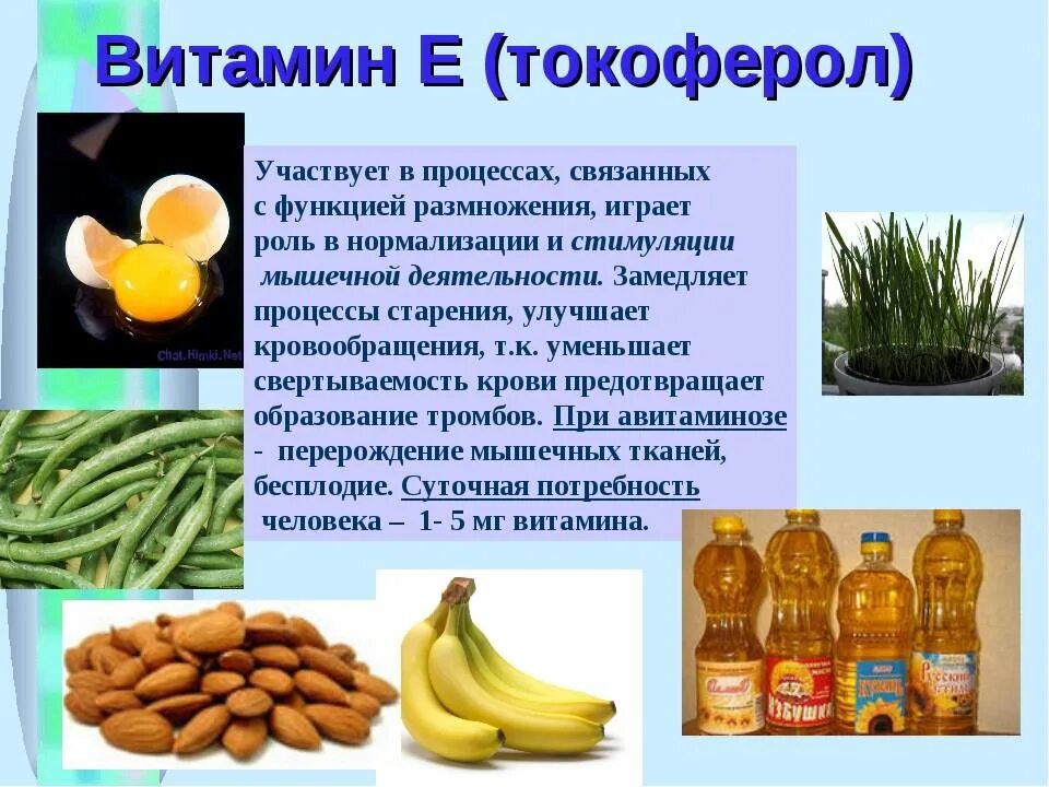 Есть ли витамин е. Роль витамина е в организме человека. Витамин e функции в организме. Витамин е функции кратко. Витамин е функции в организме человека.