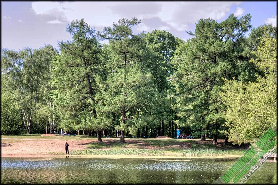 оленьи пруды ресторан. оленьи пруды ковровский район. база отдыха оленьи пруды ковровский район. оленьи пруды клязьминское сельское. оленьи пруды клязьминское сельское.