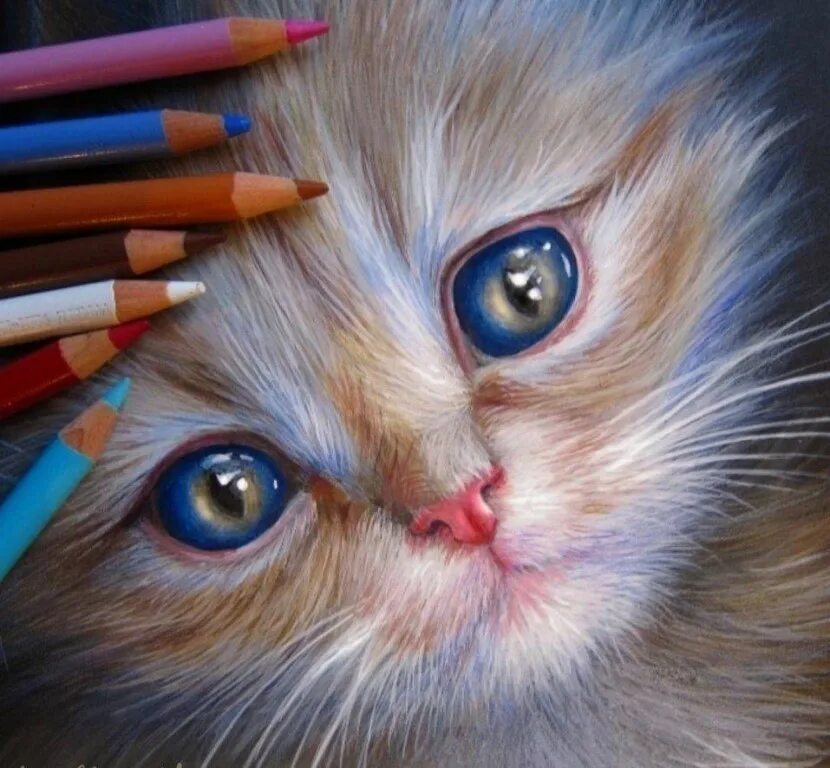 Кейт Мур художница. Kate mur картины. Рисунки цветными карандашами.