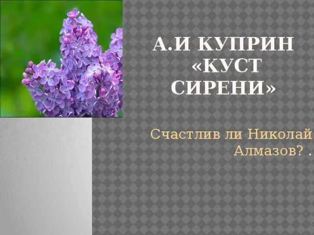 Смысл названия рассказа куст сирени. Куст сирени Куприн. Куприн сирень. Куст сирени книга.