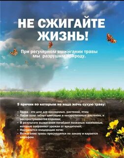 Не сжигайте листья листовка в садик