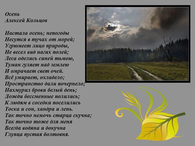 Дождь в лесу стих. Стихотворение Кольцова. Стихотворения Кольцова о природе. Стих Кольцова осень. Кольцов стихи про осень.