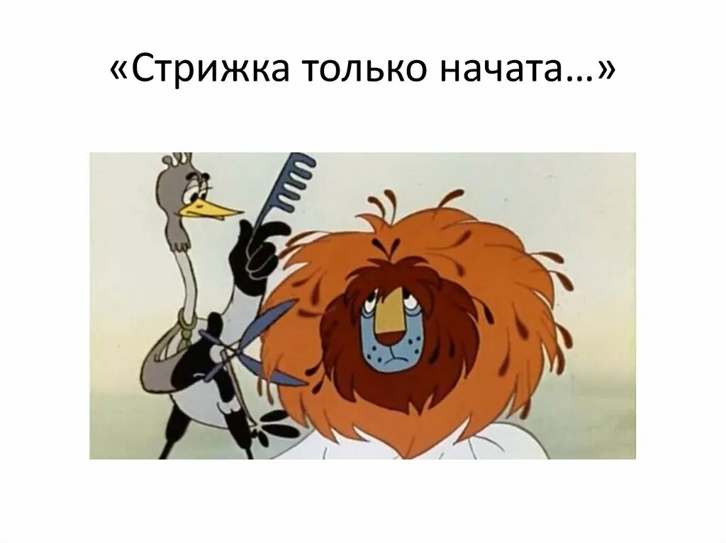 лев стрижка только началась. мультик про стрижку льва. стрижка льва мультфильм. лев стрижка только начата. стрижка только начата.