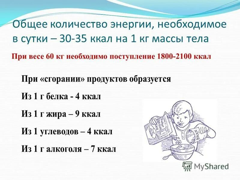 задачи по физике парообразование и конденсация. количество теплоты при обращении в пар. рассчитайте количество теплоты. какое количество теплоты потребуется для обращения ртути. какое количество энергии нужно затратить.
