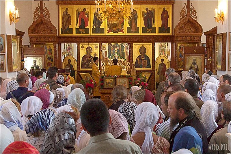 залужное автобус