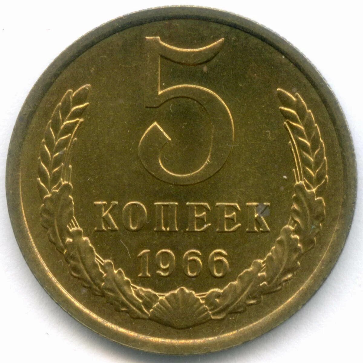 5 копеек это сколько. 5 Копеек 1961 реверс. 5 Копеек 1986. 5 Копеек 1983. Аверс и реверс монеты 5 копеек.