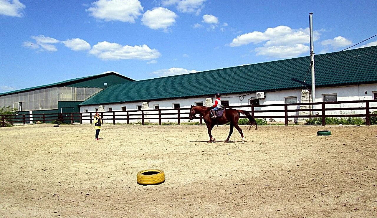 Конюшня чулково. Деревня манеж. Лошади в конюшне спортивной деревни новинки. Спортивная деревня новинки конюшня. Кск дачный манеж чулково.