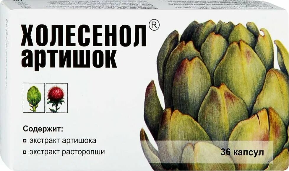 холесенол артишок капсулы. холесенол артишок капсулы. таблетки холесенол артишок. холесенол артишок капс. холесенол артишок отзывы.