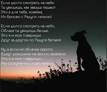 Соболезнования животным