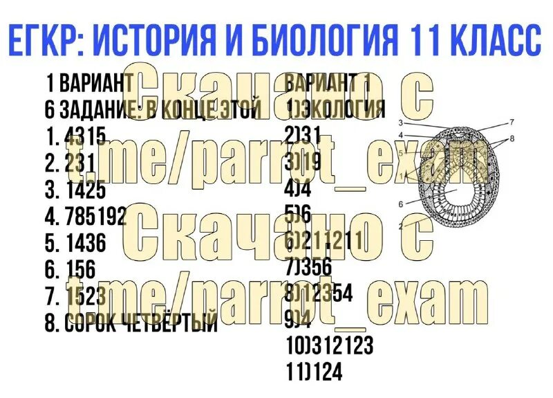 егкр 2024 литература