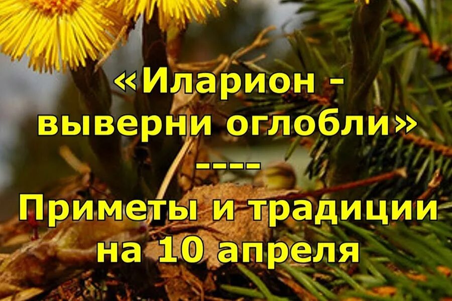 10 апреля приметы и традиции. 10 апреля приметы и традиции