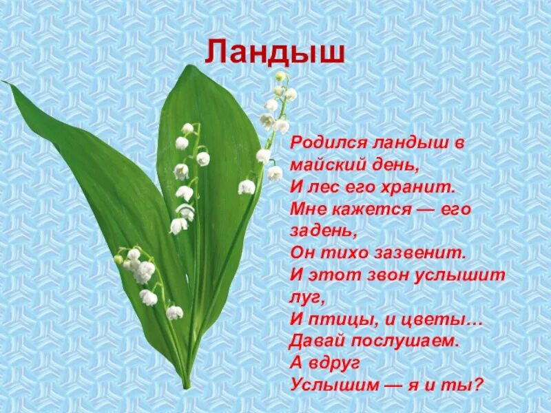 Я подарю тебе ландыши лилии слушать. Ландыши девиз. Отряд Ландыши девиз.