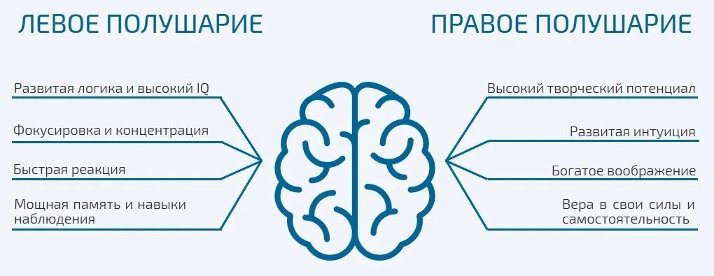 Проект «правое полушарие интроверта». Задания для развития левого полушария мозга. Ментальная арифметика мозг. Ментальная арифметика задания.