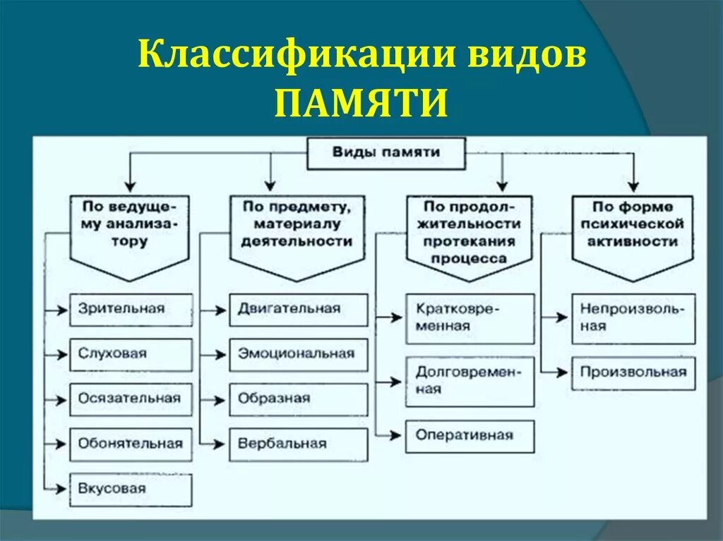 Сколько бывает памяти. Виды памяти у человека кратко. Классификация видов памяти, их характеристика.. Виды памяти в психологии. Схема виды памяти психология.