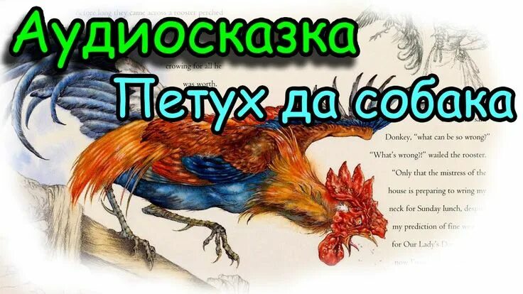 Слушать сказку петух и собака. Петух и собака. Петух и собака сказка. Аудио сказки на ночь. Аудиосказка Небесный петух.