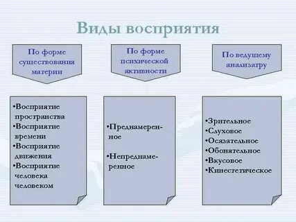 Виды восприятия по форме материи