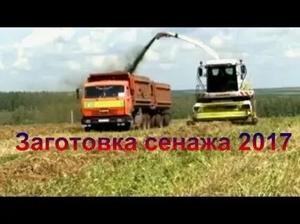 Видео заготовка 5