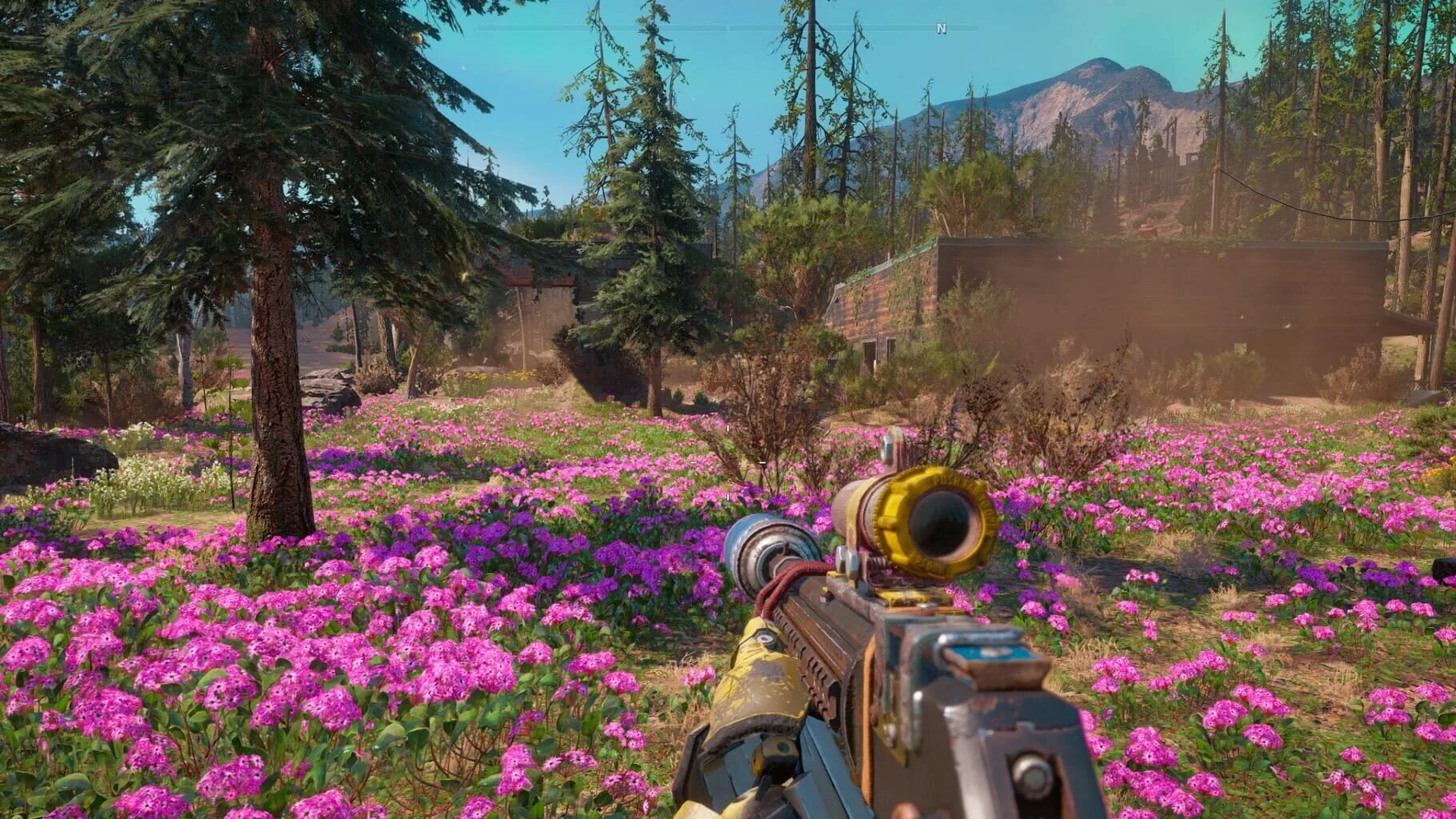 Far Cry New Dawn. Фар край 4 New Dawn. Фар край 5 New Dawn. Природа края игра