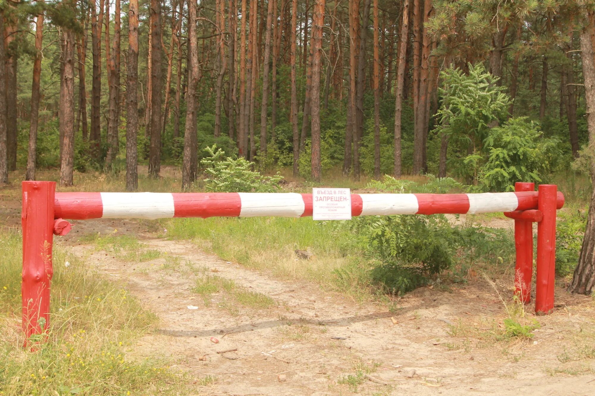 Особый противопожарный режим. Посещение лесов запрещено. Установлен особый противопожарный режим. Противопожарный режим в лесу.