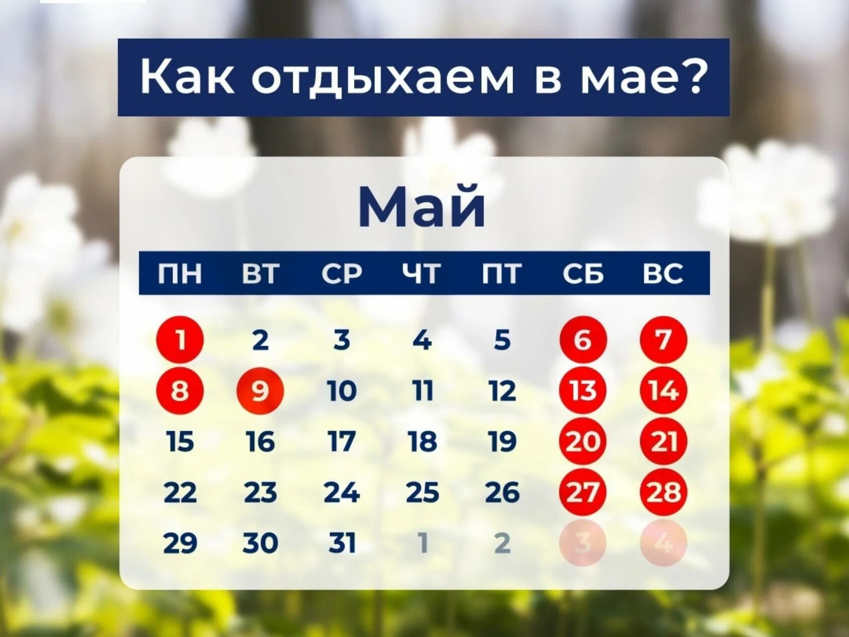 Сколько выходных в майские праздники 2024 году. Отдыхаем в мае. Праздники в мае. Праздничныедеи в мае. Майские праздники календарь.