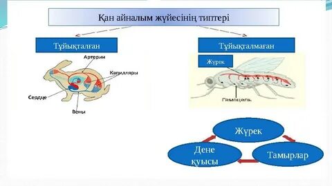 Санкт-Петербургте басқа біреудің әйелімен жыныстық қатынас